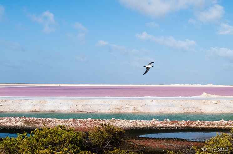 Caribbean Sea